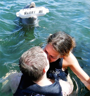 Proposal Tips & Ideas “Dolphins” Engagement Ring Express